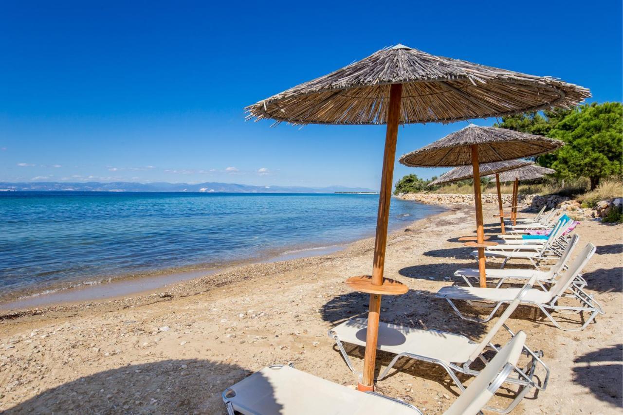 Marti Resort สกาลาโซติรอส ภายนอก รูปภาพ