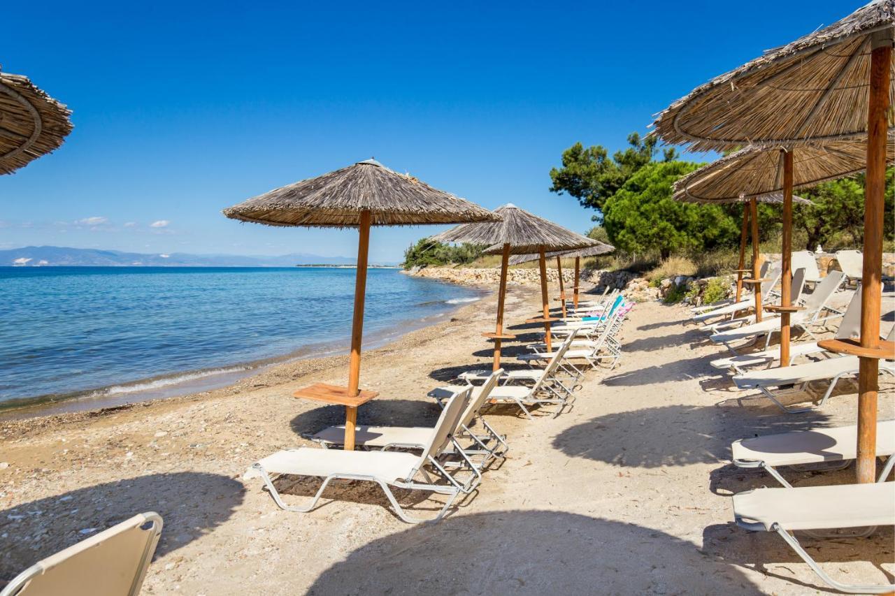 Marti Resort สกาลาโซติรอส ภายนอก รูปภาพ